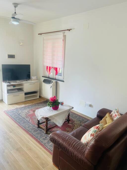 Giorgio'S Apartment Pisa Fiocina Экстерьер фото